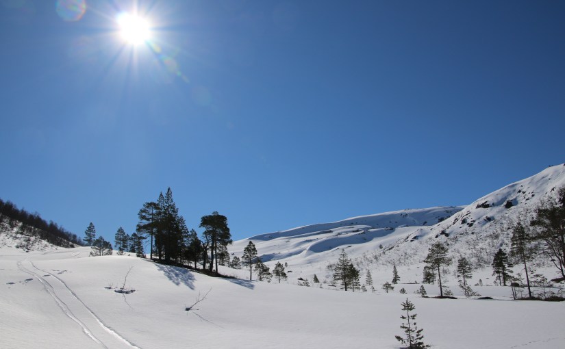 Haugadalen på Nordmøre – april&nbsp;2016